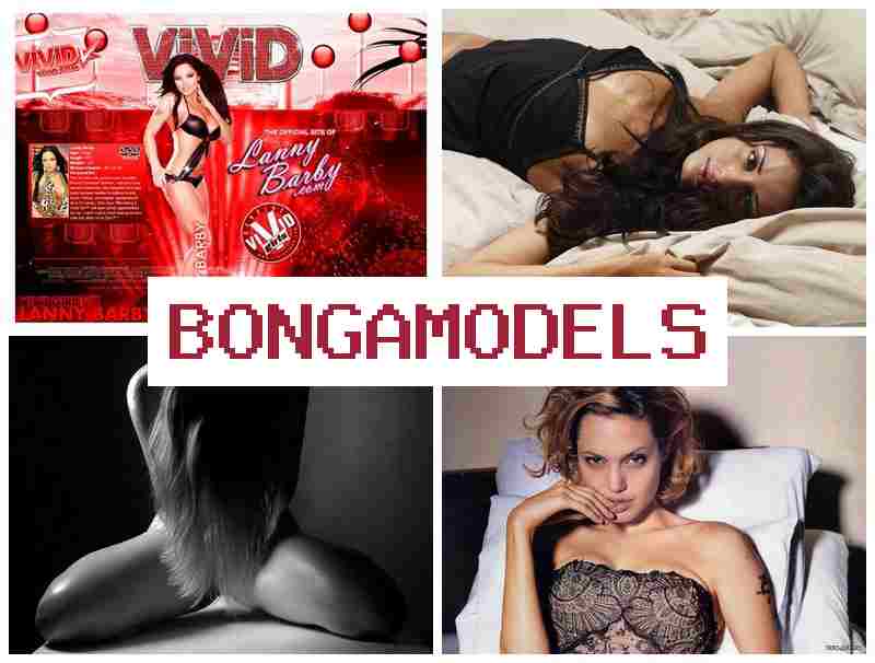 OBNGAMODELS 🎇 Menjadi model webcam profesional dengan penjadualan mandiri dan khidmat bantuan tanpa henti