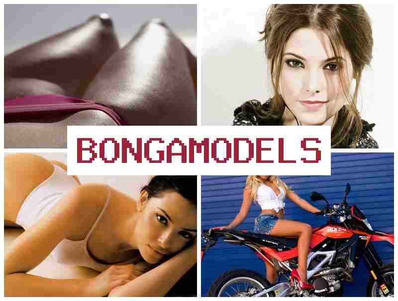 BONGAMOCELS 🔵 Dapatkan pendapatan sebagai web model tanpa keluar rumah, modal sifar dan sokongan 24 jam